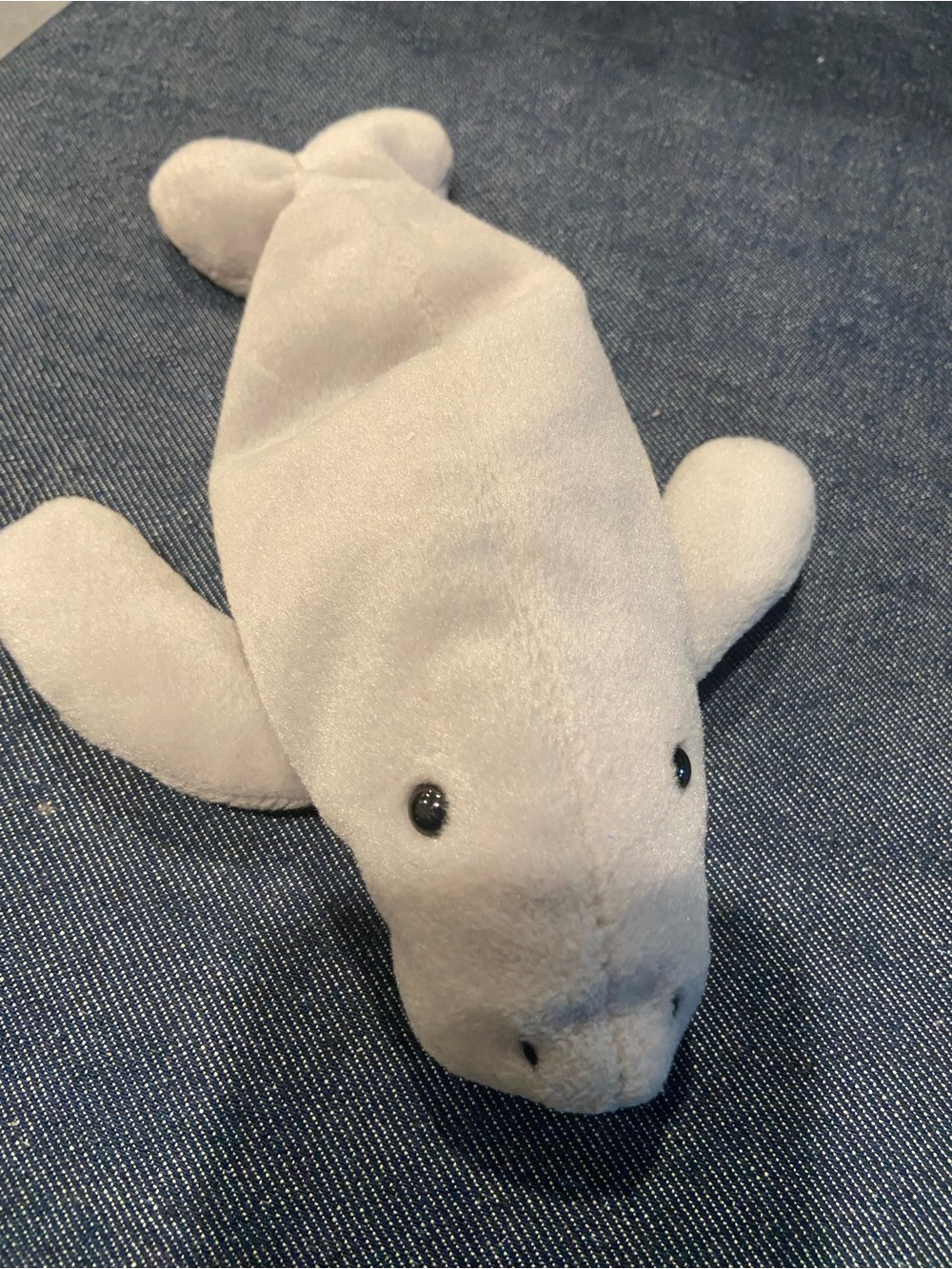 Beanie babies seal